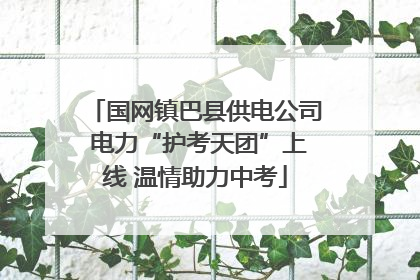 国网镇巴县供电公司 电力“护考天团”上线 温情助力中考