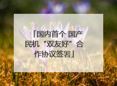 国内首个 国产民机“双友好”合作协议签署