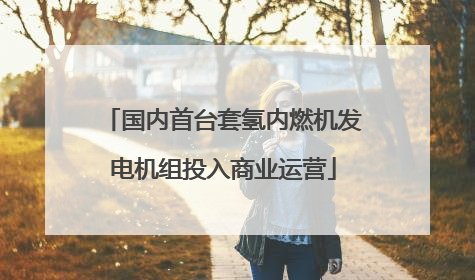 国内首台套氢内燃机发电机组投入商业运营