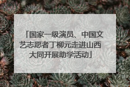 国家一级演员、中国文艺志愿者丁柳元走进山西大同开展助学活动