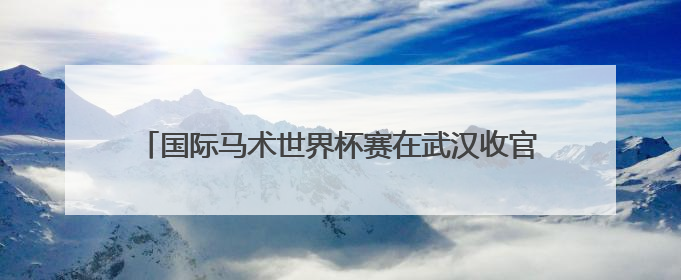 国际马术世界杯赛在武汉收官 547对人马飞跃英雄城