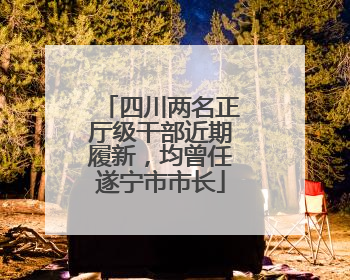 四川两名正厅级干部近期履新，均曾任遂宁市市长