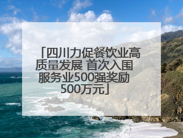四川力促餐饮业高质量发展 首次入围服务业500强奖励500万元