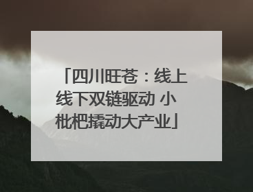四川旺苍：线上线下双链驱动 小枇杷撬动大产业