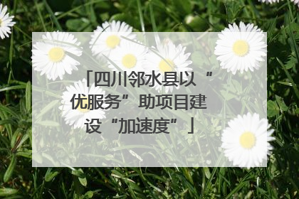 四川邻水县以“优服务”助项目建设“加速度”