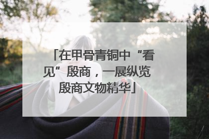 在甲骨青铜中“看见”殷商，一展纵览殷商文物精华
