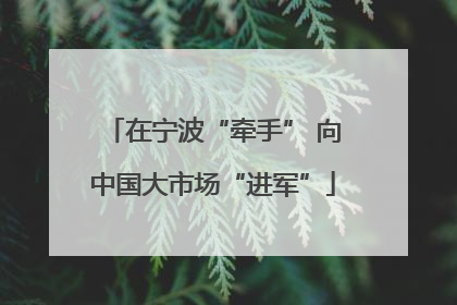 在宁波“牵手” 向中国大市场“进军”