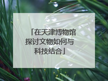 在天津博物馆探讨文物如何与科技结合