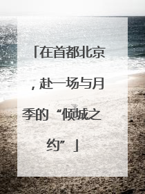 在首都北京，赴一场与月季的“倾城之约”