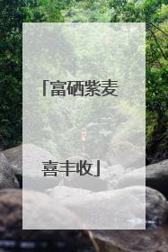 富硒紫麦喜丰收