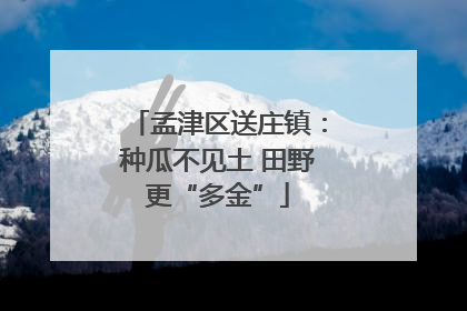 孟津区送庄镇：种瓜不见土 田野更“多金”