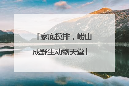 家底摸排，崂山成野生动物天堂