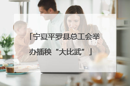 宁夏平罗县总工会举办插秧“大比武”