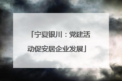宁夏银川：党建活动促安居企业发展