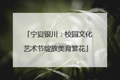 宁夏银川：校园文化艺术节绽放美育繁花