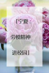 宁夏：劳模精神进校园