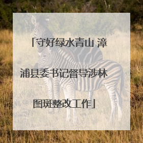 守好绿水青山 漳浦县委书记督导涉林图斑整改工作