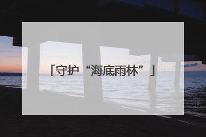 守护“海底雨林”