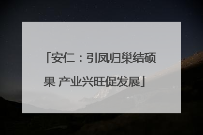 安仁：引凤归巢结硕果 产业兴旺促发展