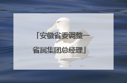 安徽省委调整一省属集团总经理