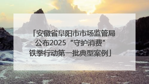安徽省阜阳市市场监管局公布2025“守护消费”铁拳行动第一批典型案例