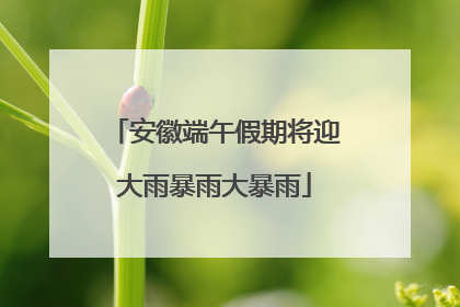 安徽端午假期将迎大雨暴雨大暴雨