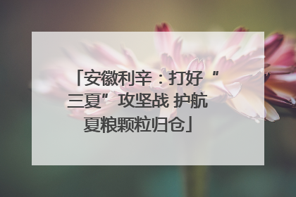 安徽利辛：打好“三夏”攻坚战 护航夏粮颗粒归仓
