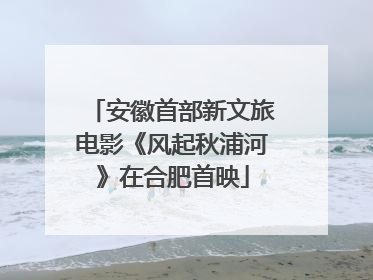 安徽首部新文旅电影《风起秋浦河》在合肥首映