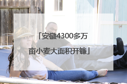 安徽4300多万亩小麦大面积开镰