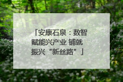 安康石泉：数智赋能兴产业 铺就振兴“新丝路”