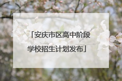 安庆市区高中阶段学校招生计划发布