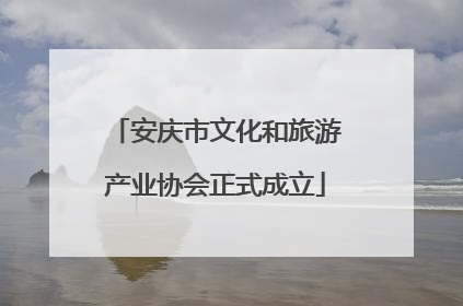 安庆市文化和旅游产业协会正式成立