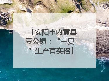 安阳市内黄县豆公镇：“三夏”生产有实招