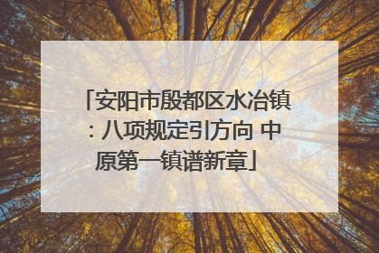 安阳市殷都区水冶镇：八项规定引方向 中原第一镇谱新章