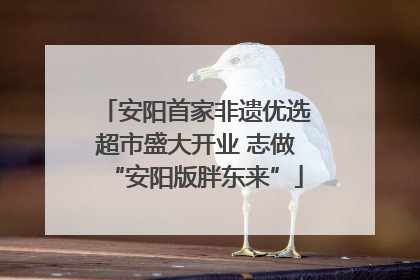 安阳首家非遗优选超市盛大开业 志做“安阳版胖东来”