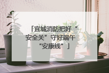 宜城消防把好“安全关”守好端午“安康线”