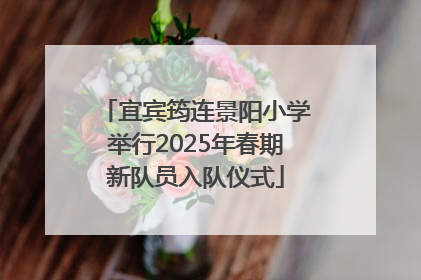 宜宾筠连景阳小学举行2025年春期新队员入队仪式