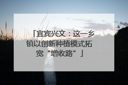 宜宾兴文：这一乡镇以创新种植模式拓宽“增收路”