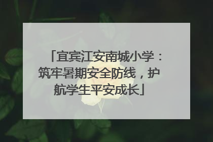 宜宾江安南城小学：筑牢暑期安全防线，护航学生平安成长