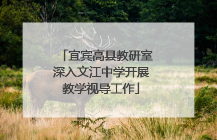 宜宾高县教研室深入文江中学开展教学视导工作