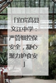 宜宾高县文江中学：严管细控保安全，凝心聚力护食安