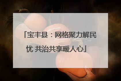宝丰县：网格聚力解民忧 共治共享暖人心