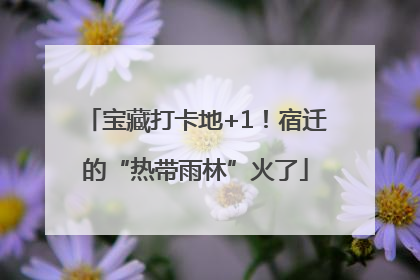宝藏打卡地+1！宿迁的“热带雨林”火了