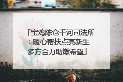 宝鸡陈仓千河司法所：暖心帮扶点亮新生 多方合力助燃希望