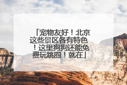 宠物友好！北京这些景区各有特色！这里狗狗还能免费玩跳圈！就在