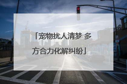 宠物扰人清梦 多方合力化解纠纷