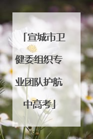 宣城市卫健委组织专业团队护航中高考