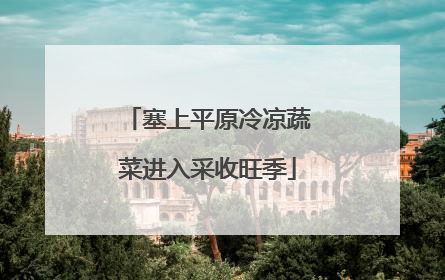 塞上平原冷凉蔬菜进入采收旺季