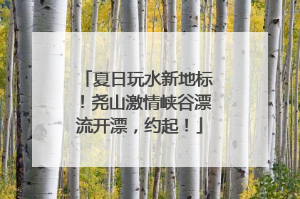 夏日玩水新地标！尧山激情峡谷漂流开漂，约起！