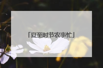 夏至时节农事忙